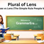 Plural of Lens