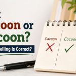 This confusion often appears in searches like “cacoon or cocoon,” “cocoon vs cacoon,” and “which spelling is correct cocoon or cacoon.