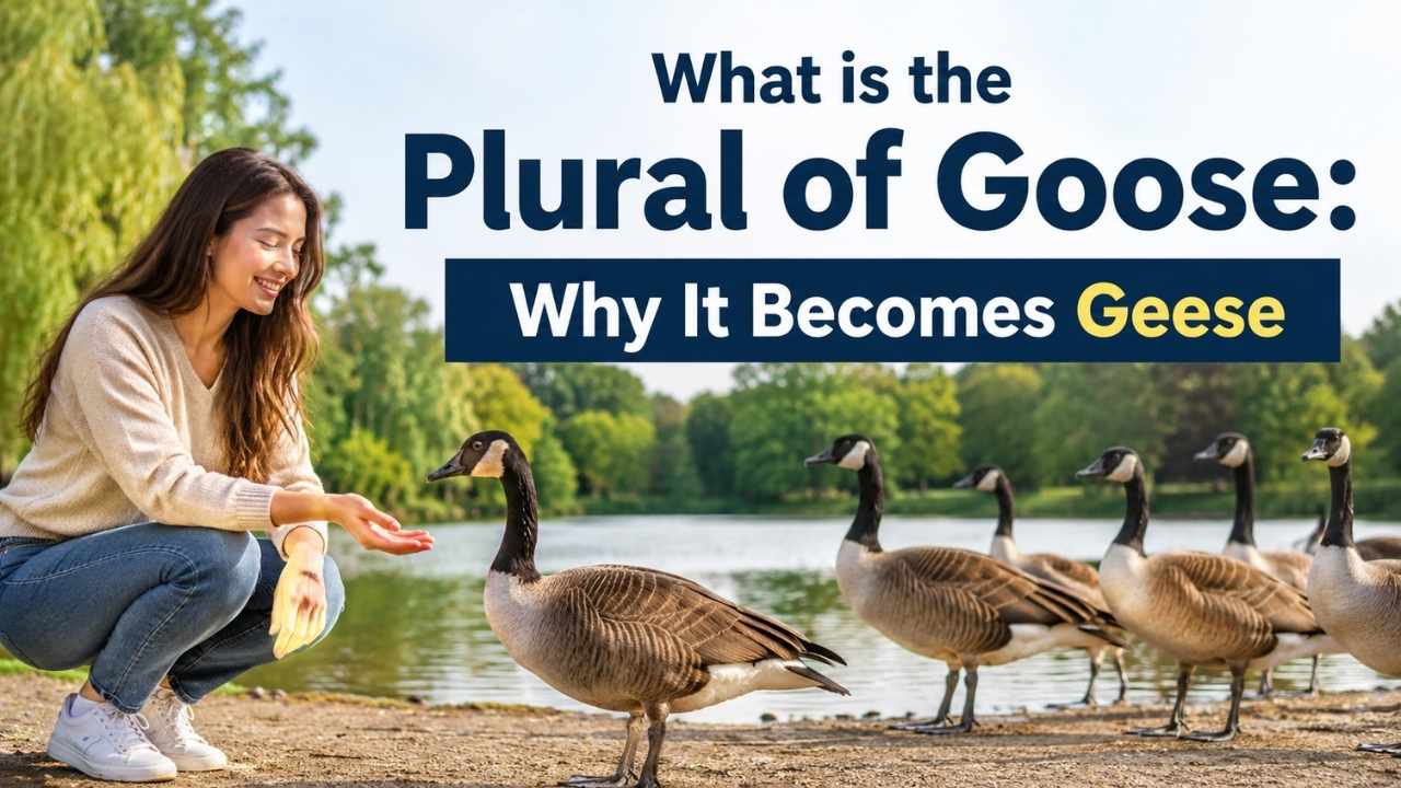 One classic example is the plural of goose. Many learners expect “gooses,” but standard English uses “geese” instead.