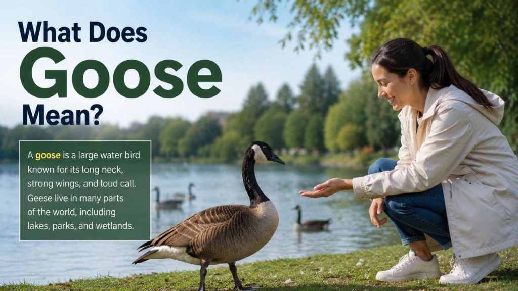 Why Goose Changes to Geese
