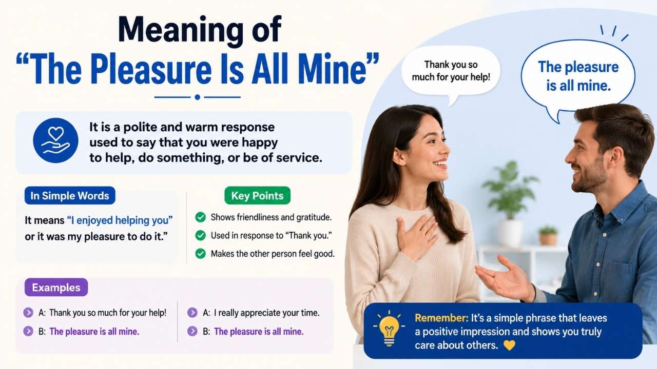 Meaning Of The Pleasure Is All Mine