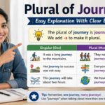 If you've ever wondered about the plural of journey, you're not alone. Many people get confused between journeys or journies, especially when learning English grammar and pluralization rules.