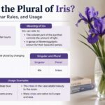 Many learners search for the plural of iris because this word appears in both science and everyday English.