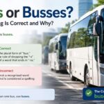 Many English learners and writers get confused when they see the words “buses or busses” and wonder which one is correct.